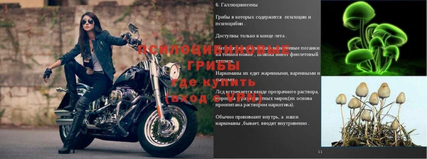 MDMA Горнозаводск
