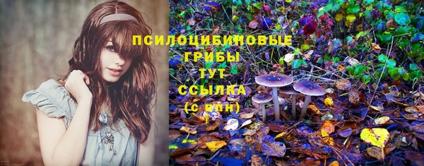 мескалин Алексин
